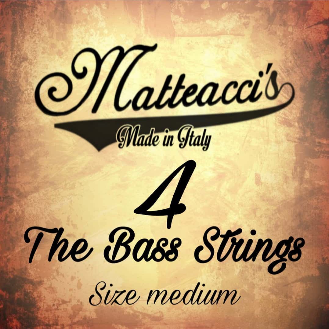 Cigar box bass 4 strings