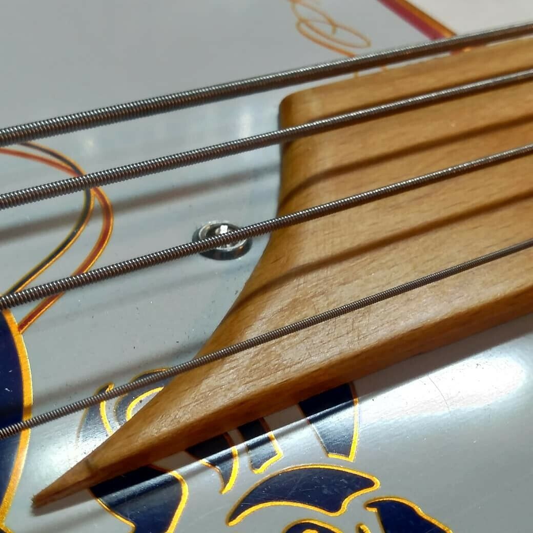 Contrabbasso elettrico electric double Bass Leone Torino by Robert Matteacci