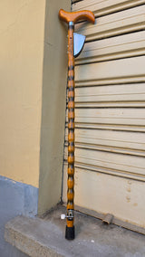 Walking Stick Guitar 1sp Matteacci's